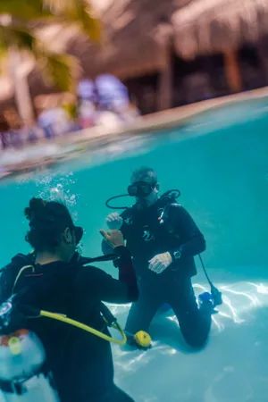 Discover Scuba Diving In Cabo Pulmo With Transportation From Cabo San Lucas