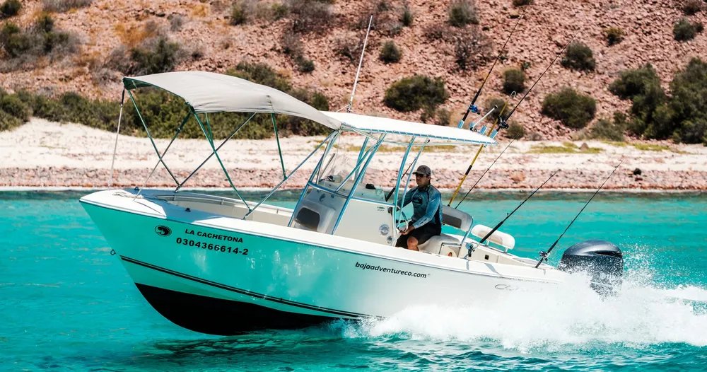 Lancha Privada En La Paz – Cobia 24’ 1