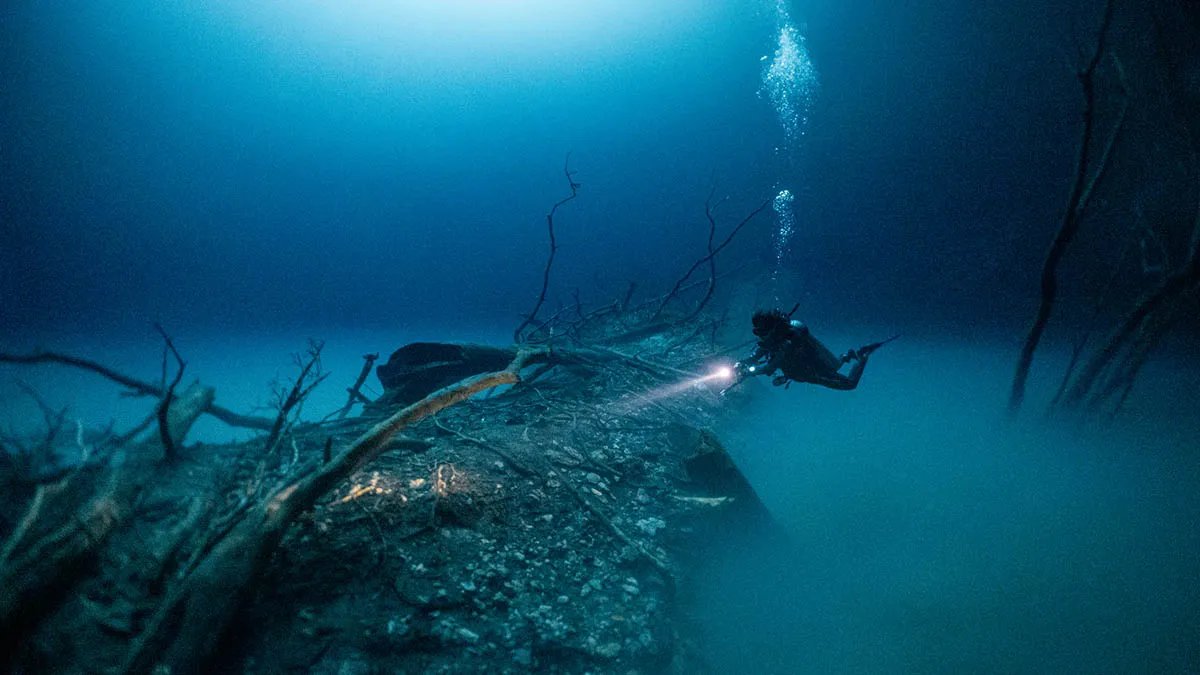Cenote Angelita + Shallow Cenote 1