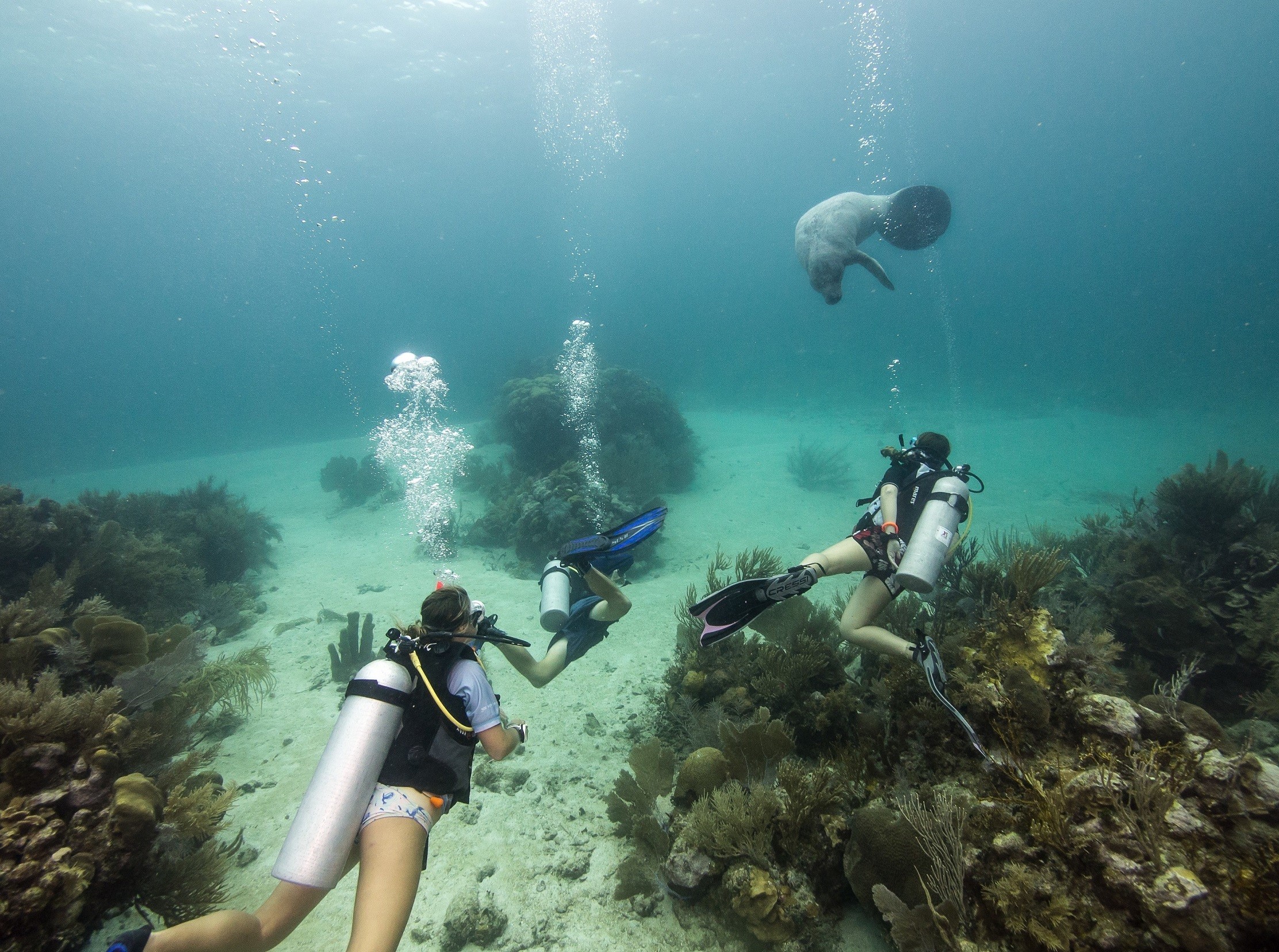 Product photo 3