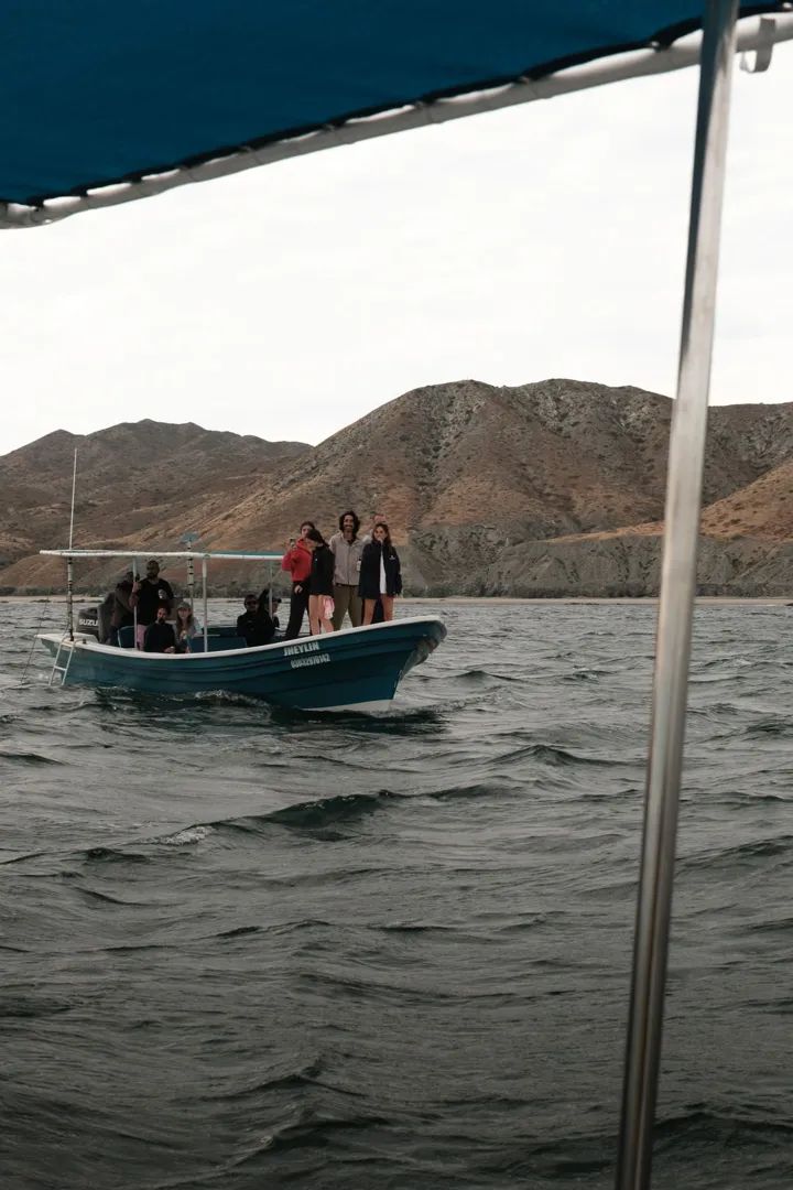 Ballenas Grises: Expedición Bahía Magdalena 11