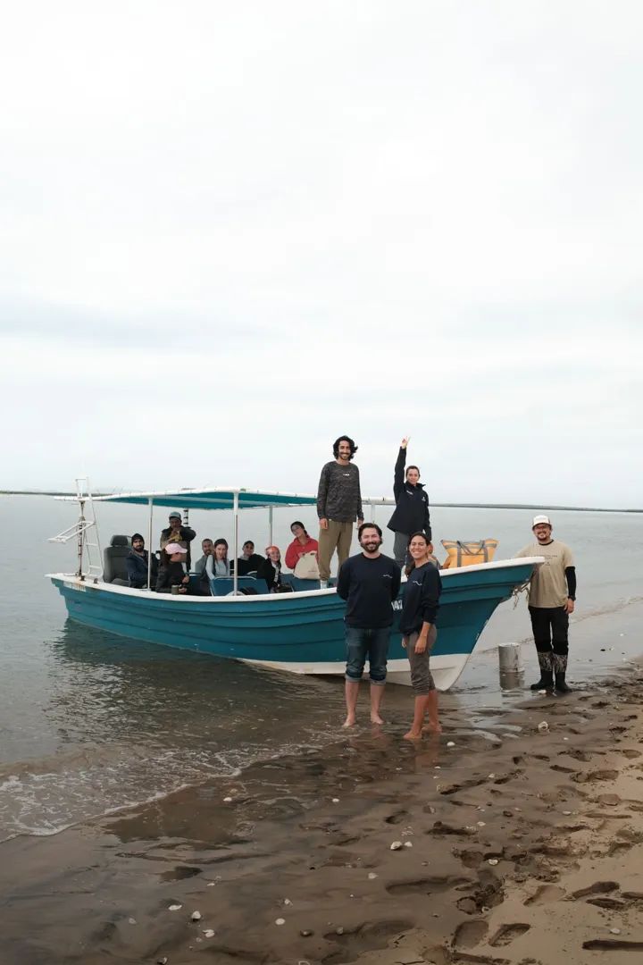 Ballenas Grises: Expedición Bahía Magdalena 15