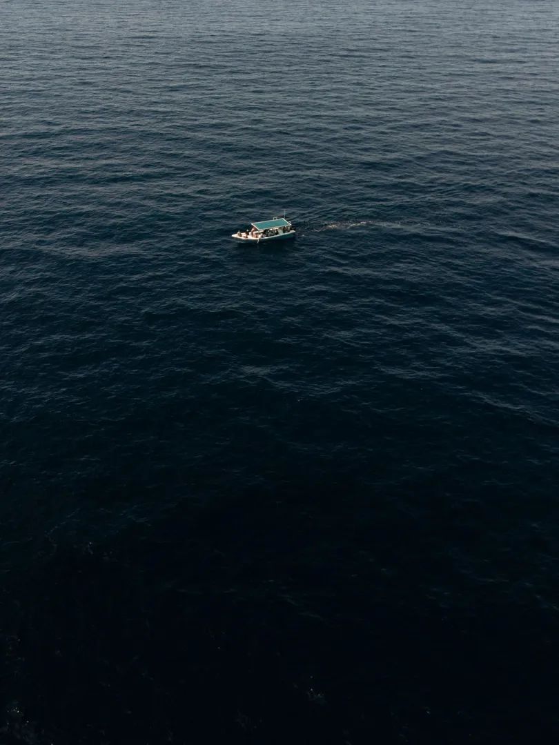 Ballenas Grises: Expedición Bahía Magdalena 9