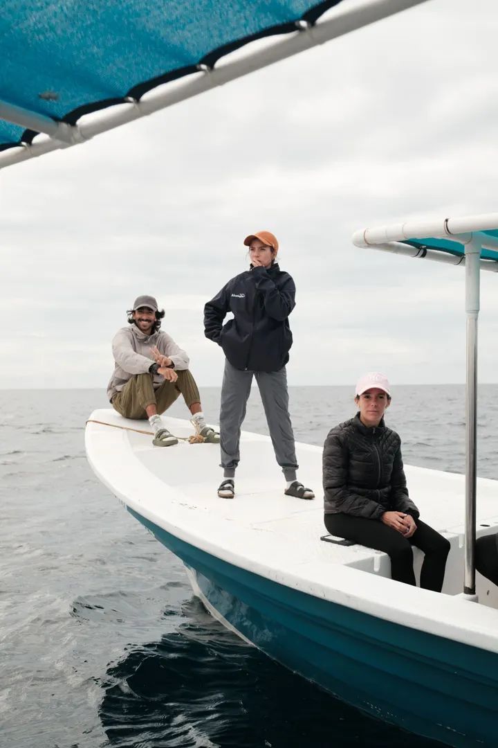 Ballenas Grises: Expedición Bahía Magdalena 3
