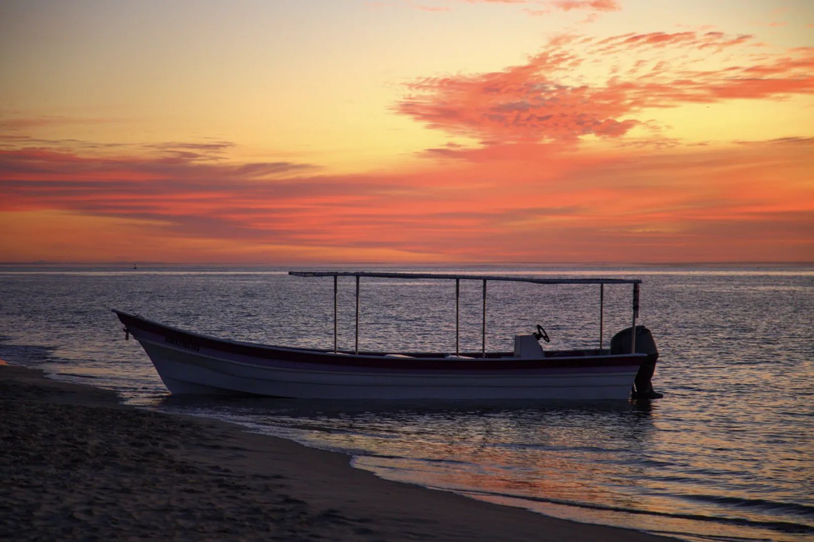 Marlins y Cetáceos en Bahía Magdalena - Glamping 11