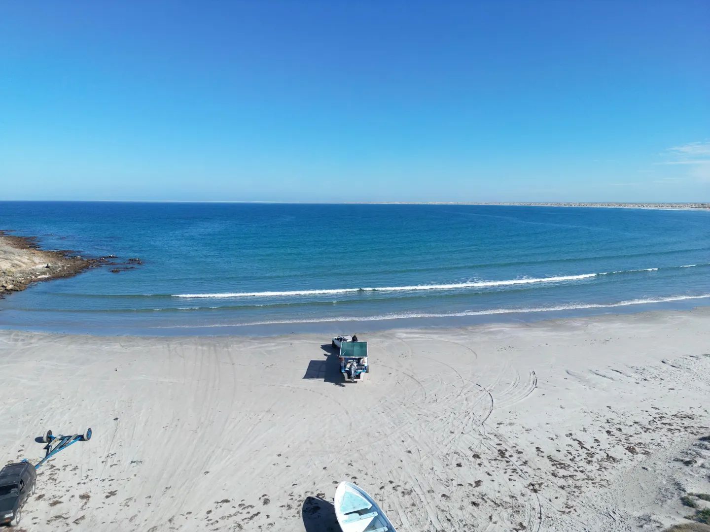 Marlins y Cetáceos en Bahía Magdalena 8