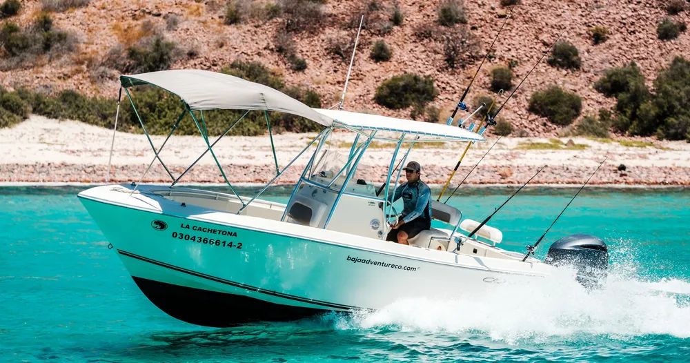 Lancha Privada En La Paz – Cobia 24’ 1