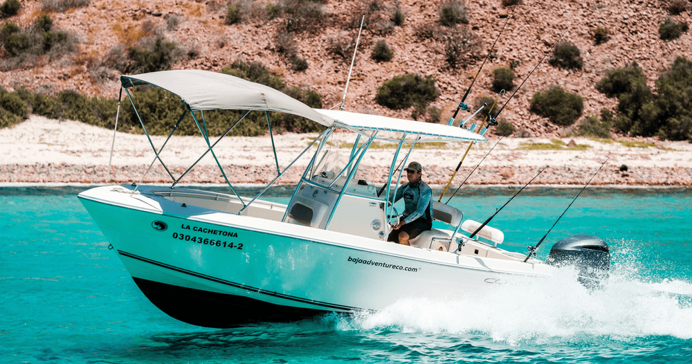 Lancha Privada En La Paz – Cobia 24’