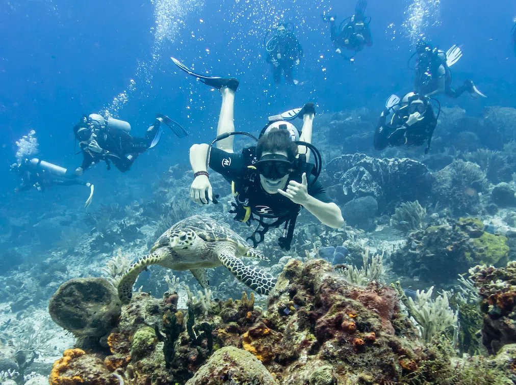Diving In Cozumel From Playa Del Carmen 1