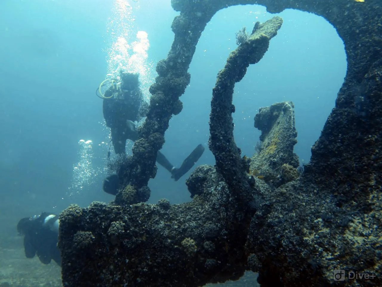Buceo en La Reina o El Bajo–La Paz 1